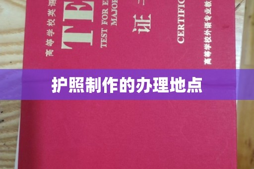 定安护照制作的办理地点