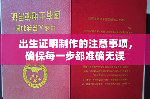 定安出生证明制作的注意事项，确保每一步都准确无误