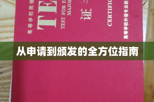 定安从申请到颁发的全方位指南