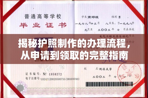 定安揭秘护照制作的办理流程，从申请到领取的完整指南