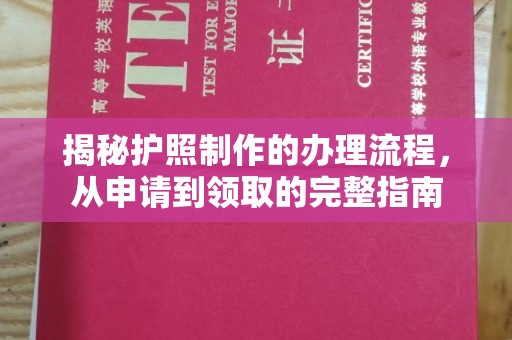 定安揭秘护照制作的办理流程，从申请到领取的完整指南
