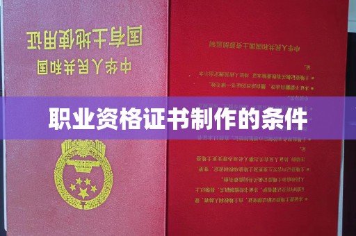 定安职业资格证书制作的条件
