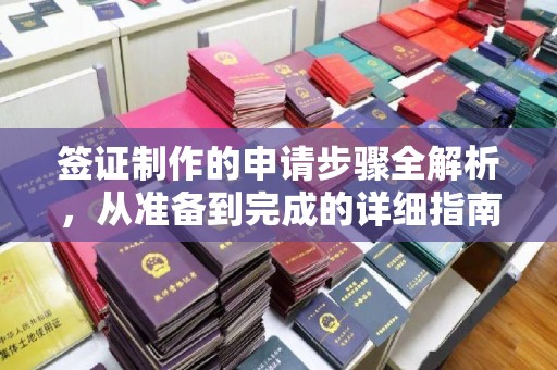 定安签证制作的申请步骤全解析，从准备到完成的详细指南
