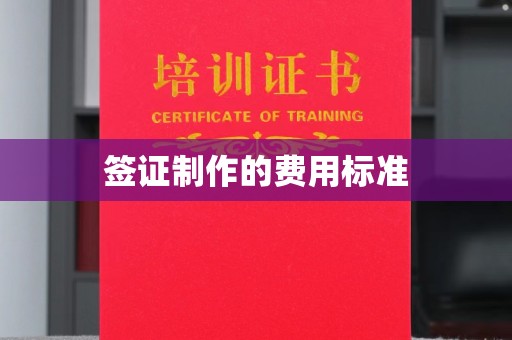 定安签证制作的费用标准