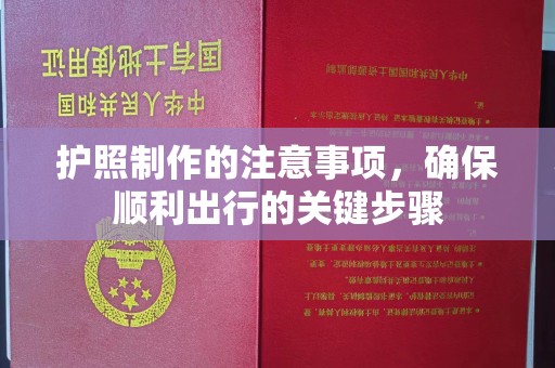 定安护照制作的注意事项，确保顺利出行的关键步骤