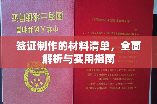 定安签证制作的材料清单，全面解析与实用指南