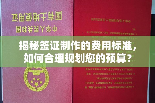 定安揭秘签证制作的费用标准，如何合理规划您的预算？