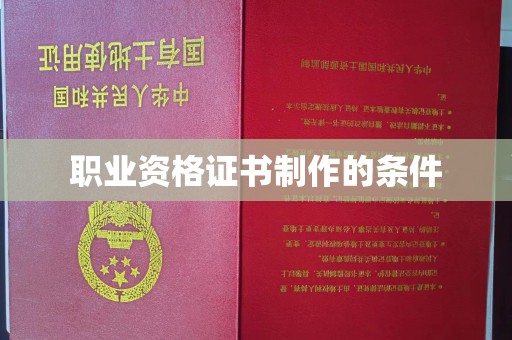 定安职业资格证书制作的条件