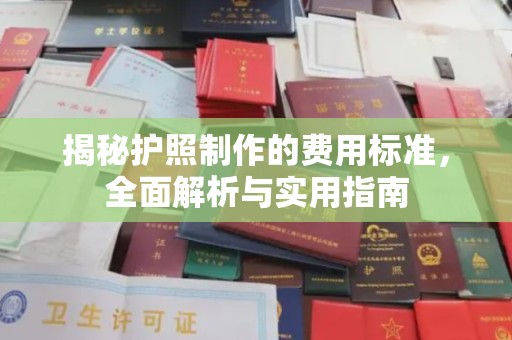 定安揭秘护照制作的费用标准，全面解析与实用指南