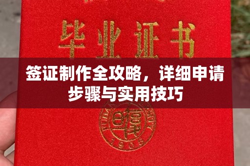 定安签证制作全攻略，详细申请步骤与实用技巧