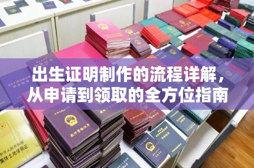 定安出生证明制作的流程详解，从申请到领取的全方位指南