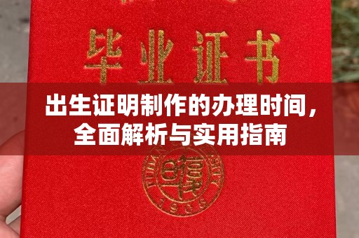定安出生证明制作的办理时间，全面解析与实用指南